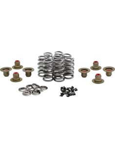 Beehive Valve™ Ventilfeder-Kit