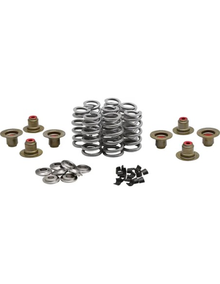 KIBBLEWHITE Ventilsteuerung für Harley Davidson FLFBS 1868 ABS 2018-2024