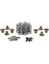 Beehive Valve™ Ventilfeder-Kit