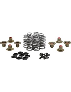 Beehive Valve™ Ventilfeder-Kit