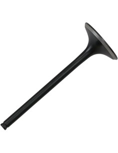 Black Diamond™ Motorventil