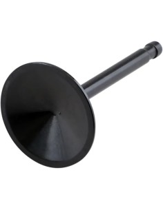 Nitrierte Ventile