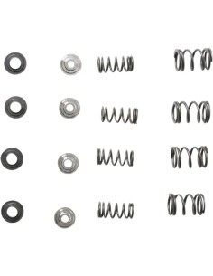 Ventilfeder-Kit