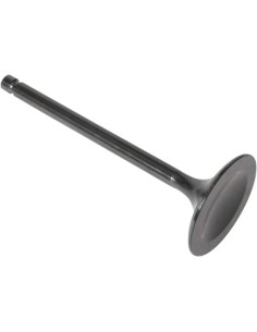 Black Diamond™ Motorventil