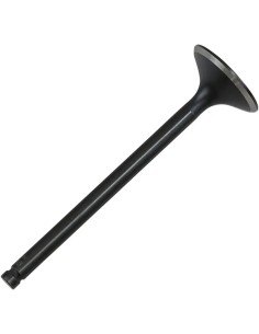 Black Diamond™ Motorventil