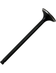 Black Diamond™ Motorventil