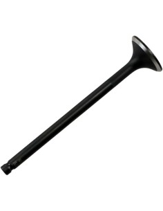 Black Diamond™ Motorventil
