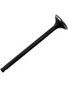 Black Diamond™ Motorventil