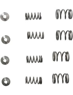 Leichtes Racing-Ventilfeder-Kit