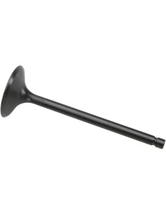 Black Diamond™ Motorventil