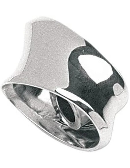 CHRIS PRODUCTS Blinker für Harley Davidson FXSTD 1450 2000-2006