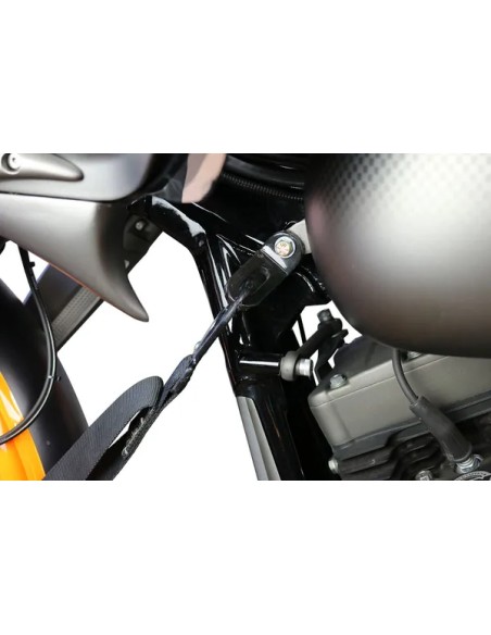 PAUL YAFFE BAGGER NATION Spanngurte - Detailansicht