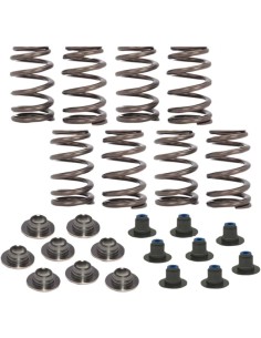 Beehive Ventilfeder-Kit