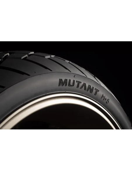 DUNLOP Reifen Bild 5