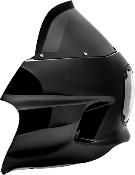 SADDLEMEN Verkleidung Bild 4