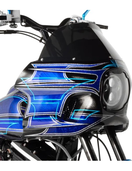 SADDLEMEN Verkleidung Bild 6