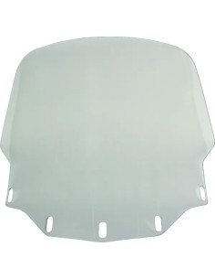 Gold Wing Windschild
