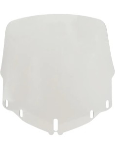Gold Wing Windschild