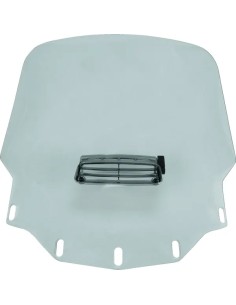 Gold Wing Windschild
