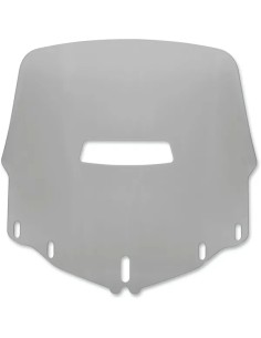Gold Wing Windschild