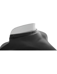 Batwing Spoiler Windschild