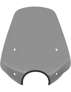 Rio Grande Sport Windschild