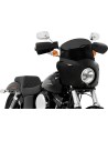 Road Warrior Windschild