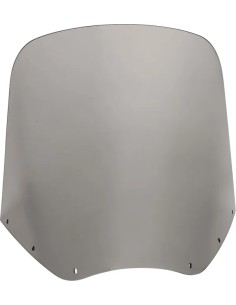 Road Warrior Windschild