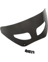 Road Warrior Windschild