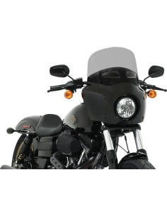 Road Warrior Windschild