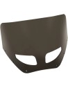 Road Warrior Windschild