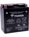 Hochleistungs-AGM-Wartungsfreie Batterie