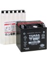 AGM wartungsfreie Batterie