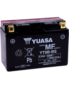 AGM wartungsfreie Batterie