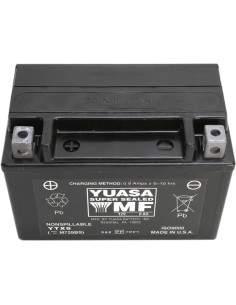 AGM wartungsfreie Batterie