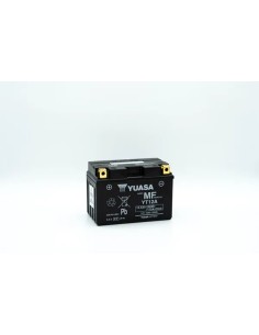 Wartungsfreie Batterie