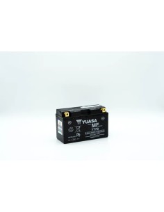 Wartungsfreie Batterie