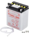 Yumicron Battery
