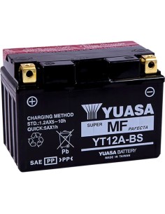AGM wartungsfreie Batterie