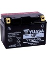 AGM wartungsfreie Batterie