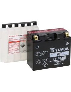 AGM wartungsfreie Batterie