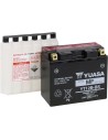 AGM wartungsfreie Batterie