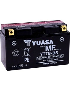 AGM wartungsfreie Batterie