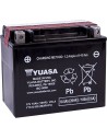 AGM wartungsfreie Batterie