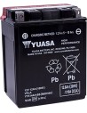 Hochleistungs-AGM-Wartungsfreie Batterie