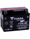 AGM wartungsfreie Batterie
