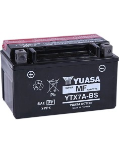 AGM wartungsfreie Batterie