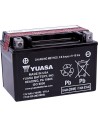AGM wartungsfreie Batterie