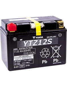 Hochleistungs-AGM-Wartungsfreie Batterie