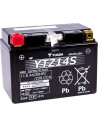 Hochleistungs-AGM-Wartungsfreie Batterie